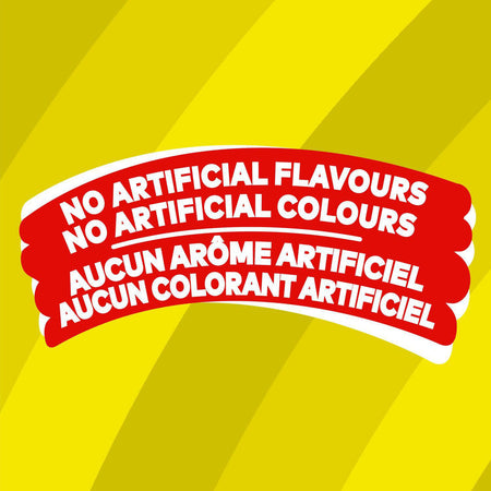 Lay's Potato Chips - Dill Pickle & White Cheddar Chips 235g/8.3 oz., Bag {Imported from Canada}