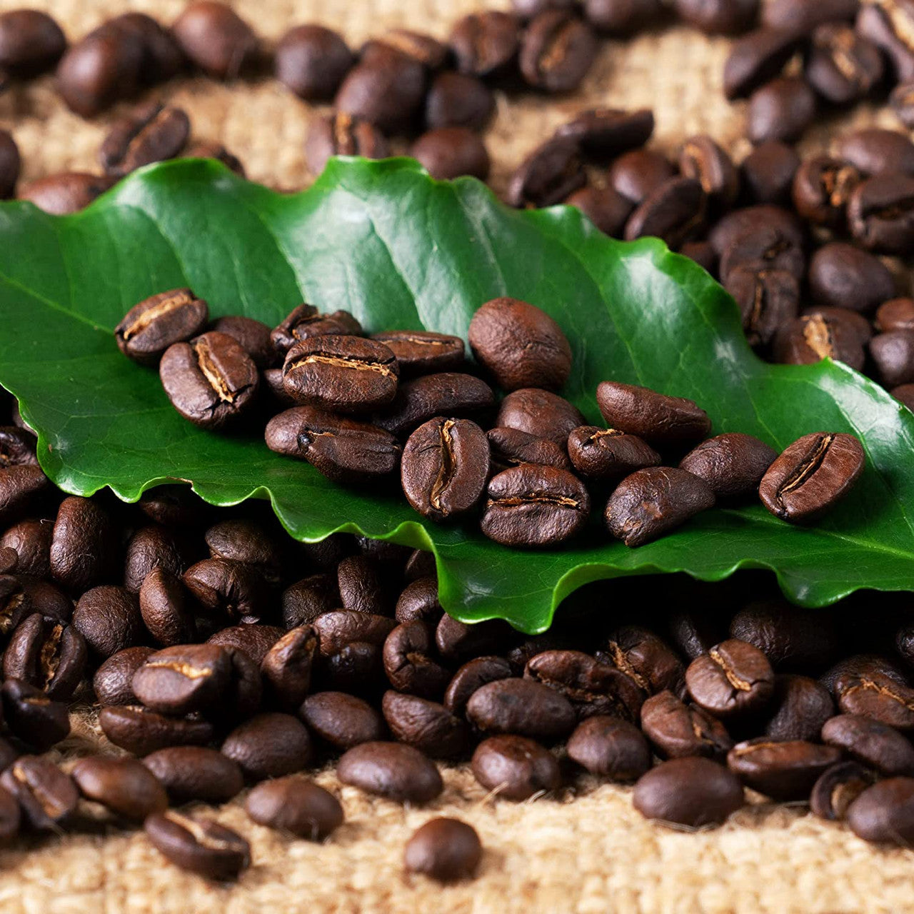 Zavida Organica Premium Whole Bean Coffee, Medium Dark Roast, 907g/2 lbs. Bag {Imported from Canada}