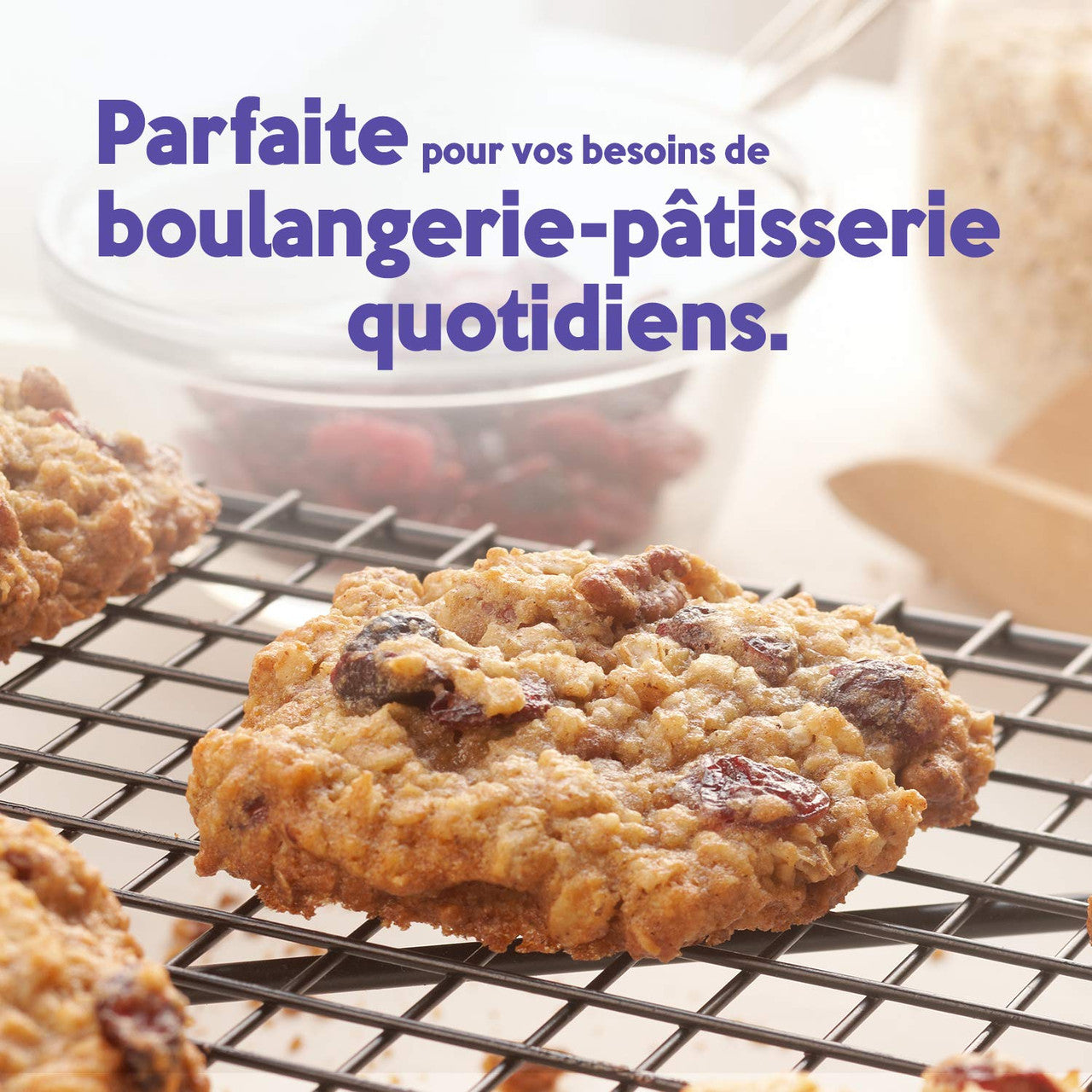 Robin Hood Whole Wheat All Purpose Flour 2.5kg/5.51lbs, (Imported from Canada)