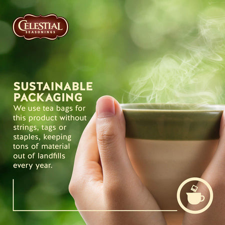 Celestial Seasonings 100% Natural Lemon Zinger Herbal Tea 20 ct {Imported from Canada}