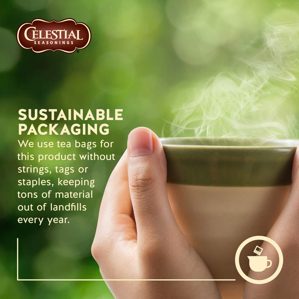 Celestial Seasonings Bengal Spice Herbal Tea, 40 Tea Bags per box, 1 box, {Imported from Canada}