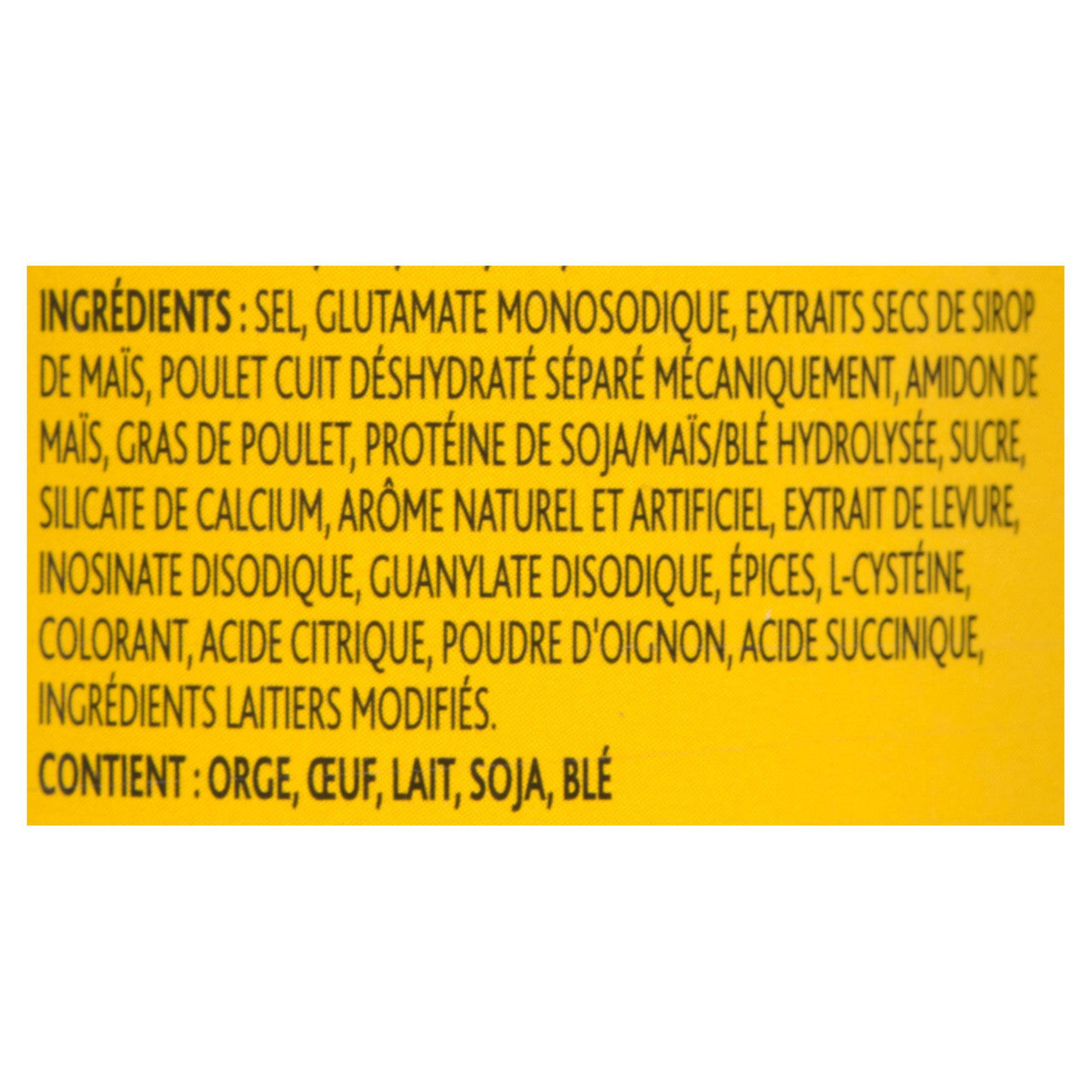 Knorr Chicken Broth Mix, 150g/5.3 oz., {Imported from Canada}