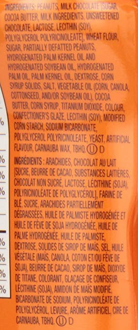 Reese Mix Chocolate Canister, 170-Gram/6 Oz {Imported from Canada}