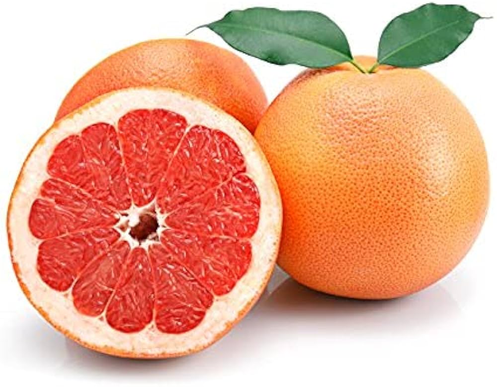 Citrus Delights Candy Pastilles, Mayer Lemon Flavor, 30g/1.07 oz. Tin, picture of grapefruits. 