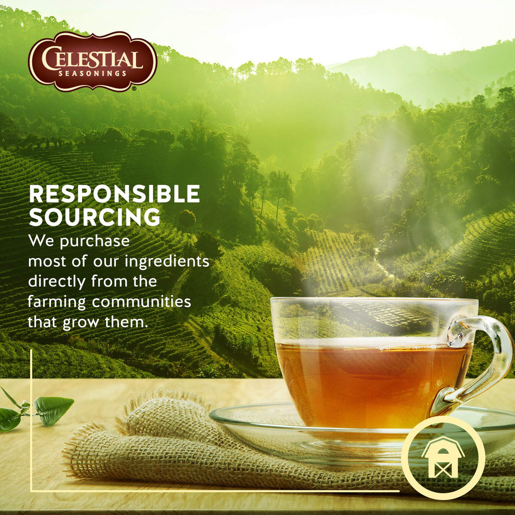 Celestial Seasonings 100% Natural Lemon Zinger Herbal Tea 20 ct {Imported from Canada}