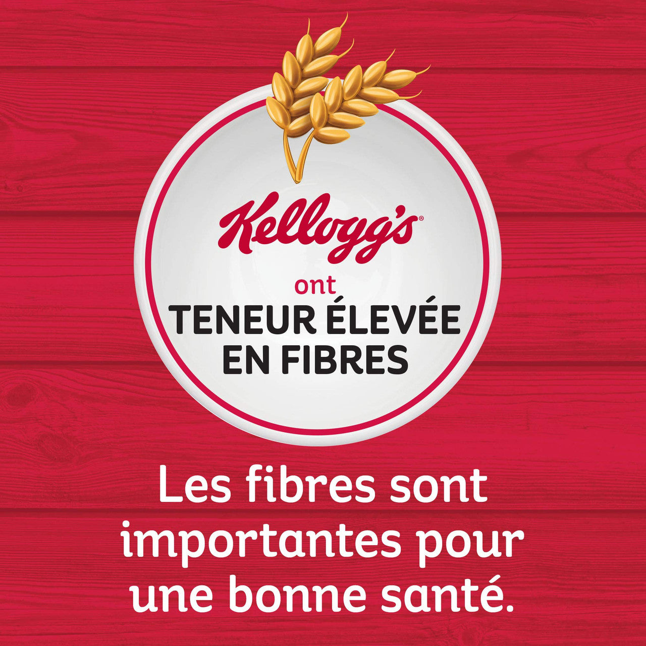 Kellogg's, Two Scoops, Raisin Bran Cereal, 1150g/40.6 oz., {Imported from Canada}