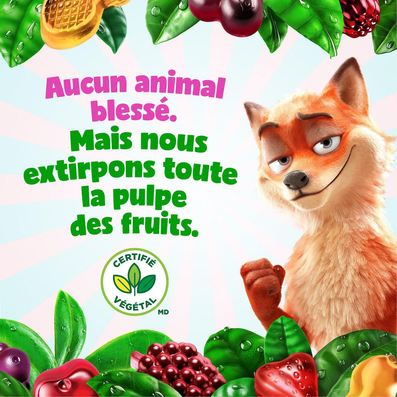 Dare RealFruit Gummies, Tropical Flavor, 180g/6.3 oz., Bag, {Imported from Canada}