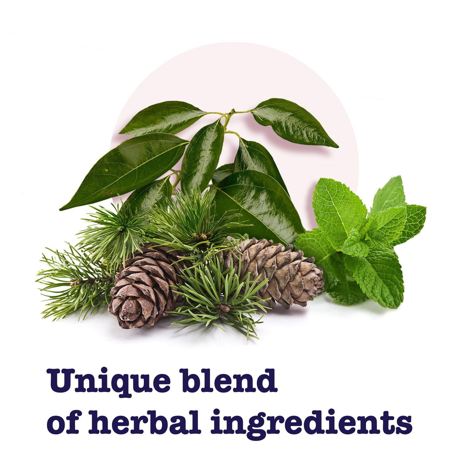 Buckley's Complete Plus Extra Strength Mucus Relief Syrup - 2x250mL