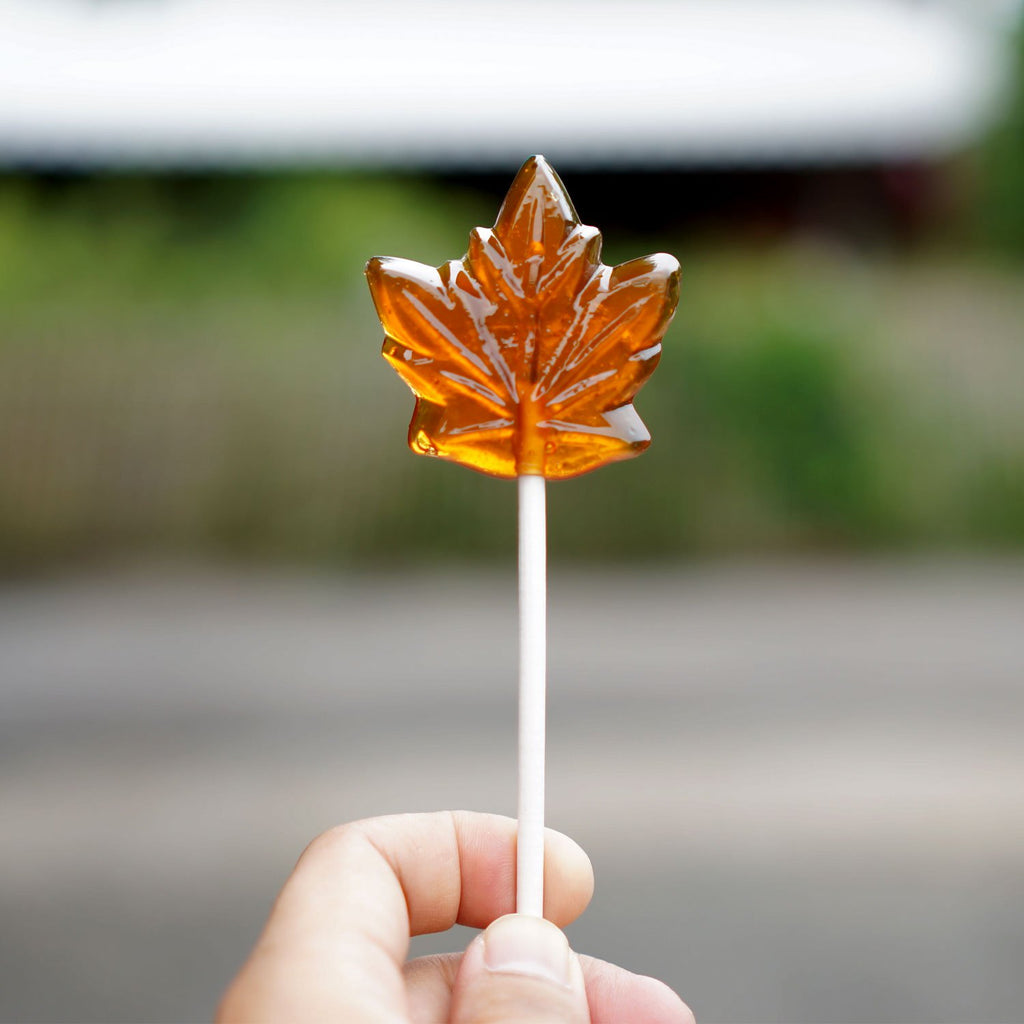 Pollipop Maple Flavored Lollipop, 12g/0.42 oz. Package {Imported from Canada}