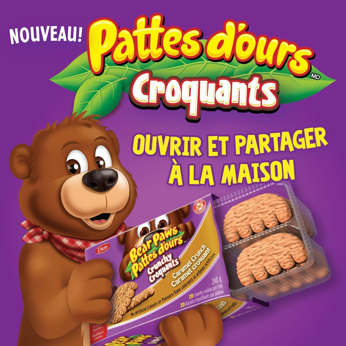 Dare Bear Paws Crunchy Double Chocolate Cookies, 240g/8.4 oz, 1 Box {Imported from Canada}