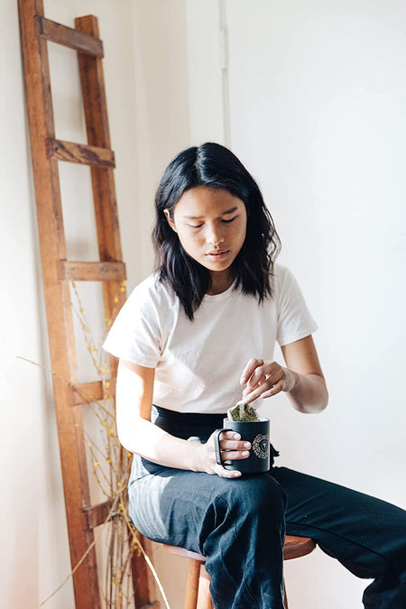 Guayaki Organic Yerba Mate Traditional Mate Bags, 75 count, 225g/7.9 oz., (Imported from Canada)