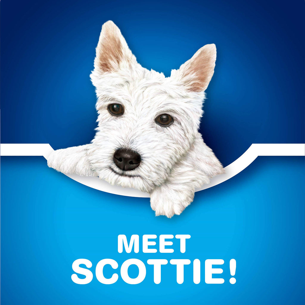 Scotties Facial Tissue, 2-ply, 126 sheets/box - 1 pack - {Imported from Canada}