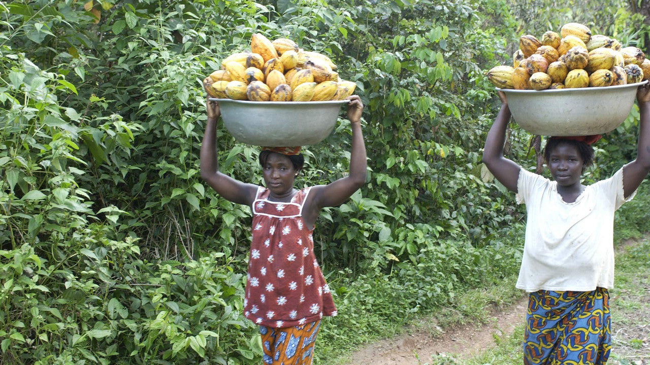 Caotina original 200g/7.1 oz., Cocoa Drink mix, {Imported from Canada}