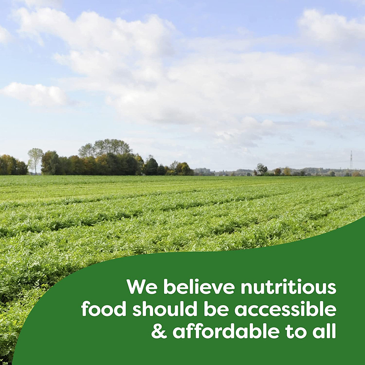 Knorr Classic Roast Gravy Mix, Au Jus 26g/.9oz {Imported from Canada}