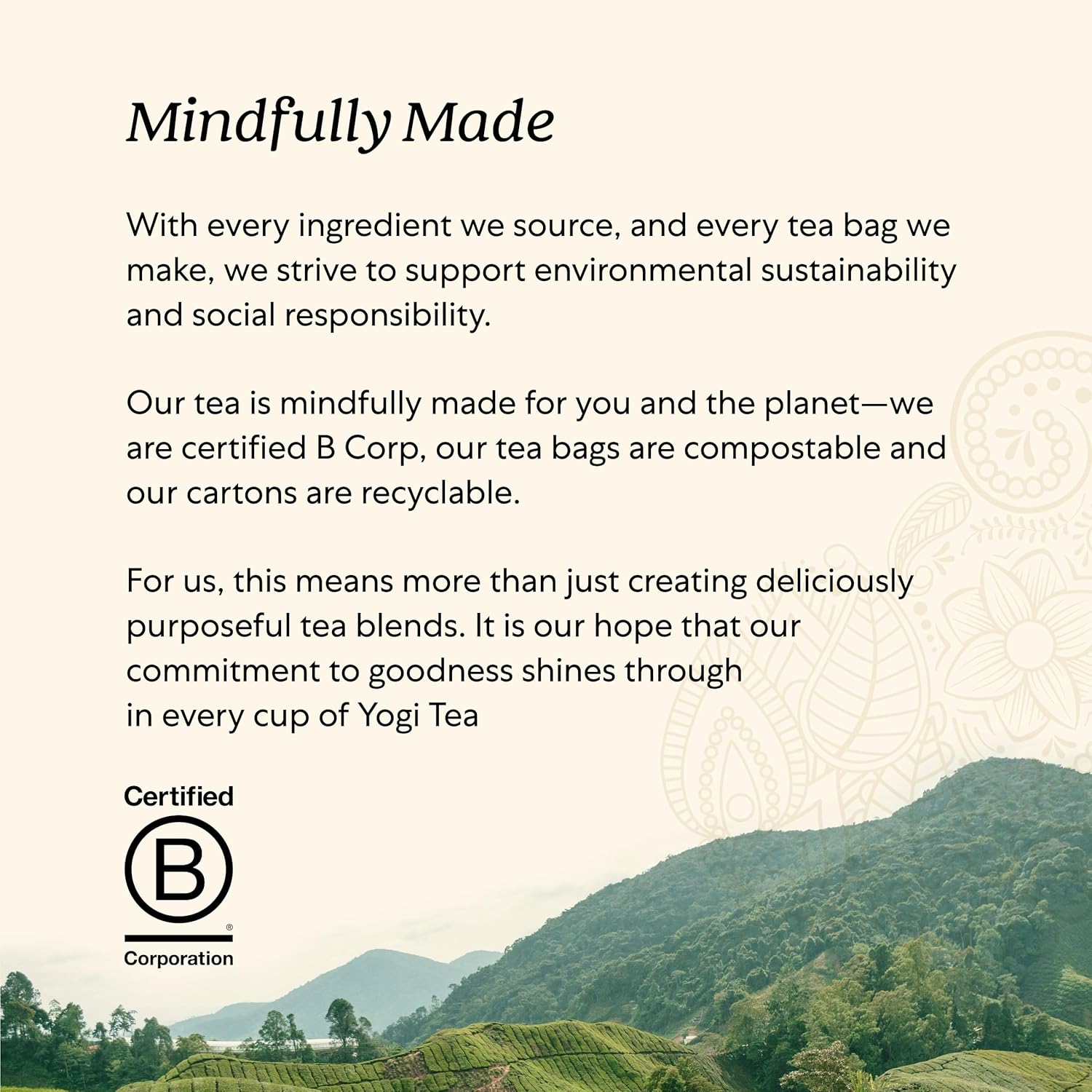 Yogi Echinacea Elderberry Cold Support Herbal Tea, 16 Bags, 24g/0.8 oz. - About Yogi Teas