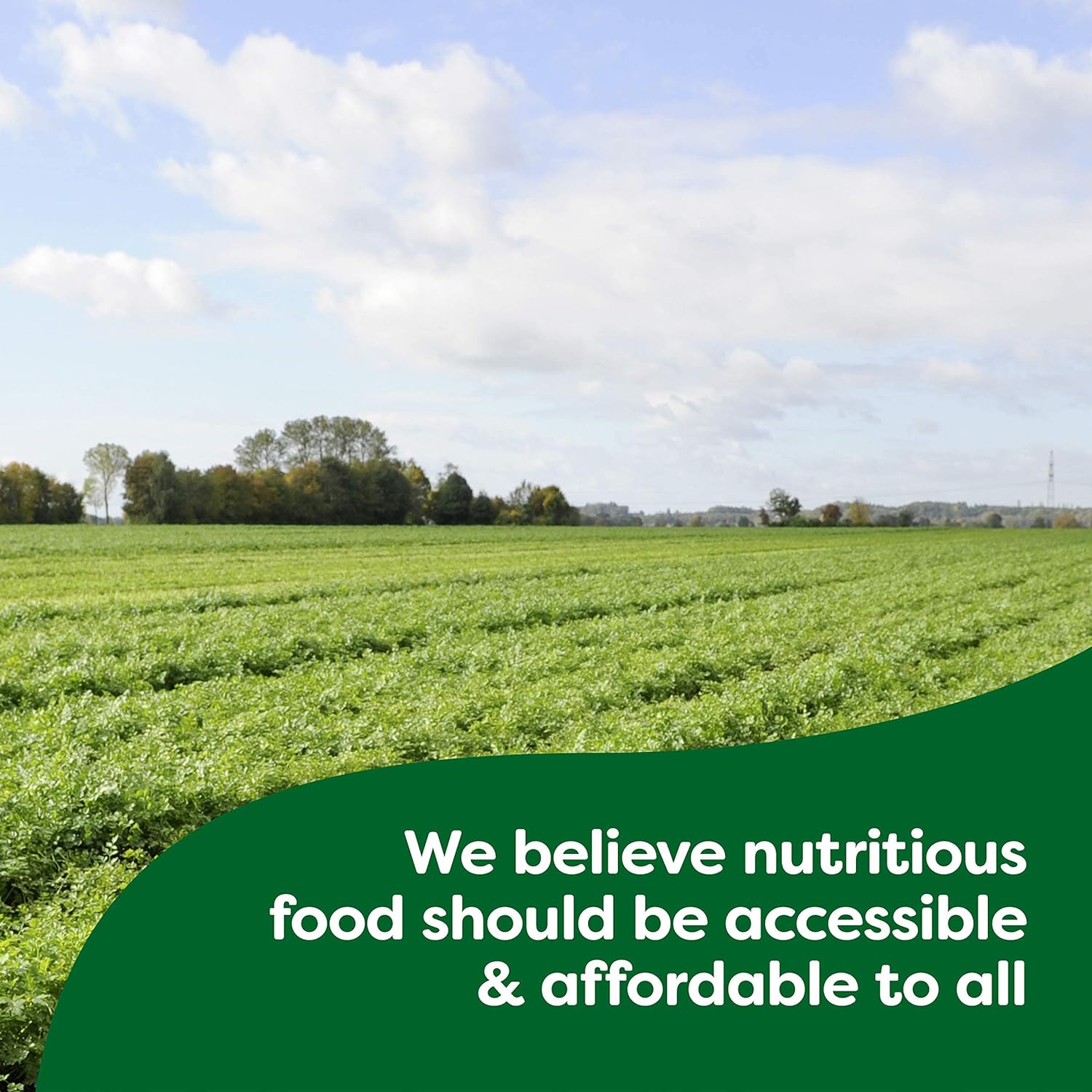 Knorr Pesto Sauce Mix, 17g, picture of a field.