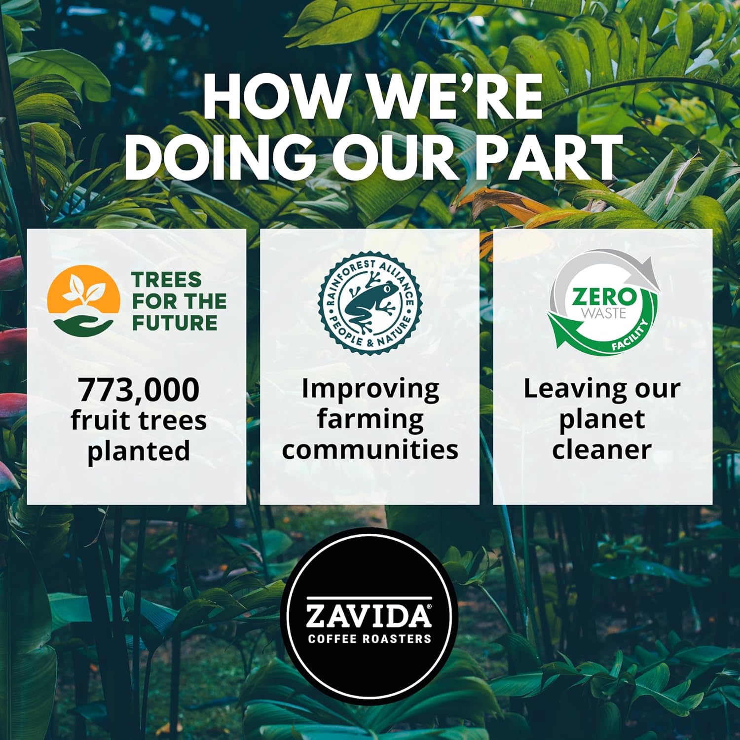 Zavida Coffee Roasters sustainability efforts with greenery in the background