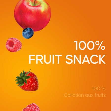 SunRype Fruit to Go Fruit Bars, 3 Flavors, 24x14g/0.5 oz. Bars, 336g/12 oz. 