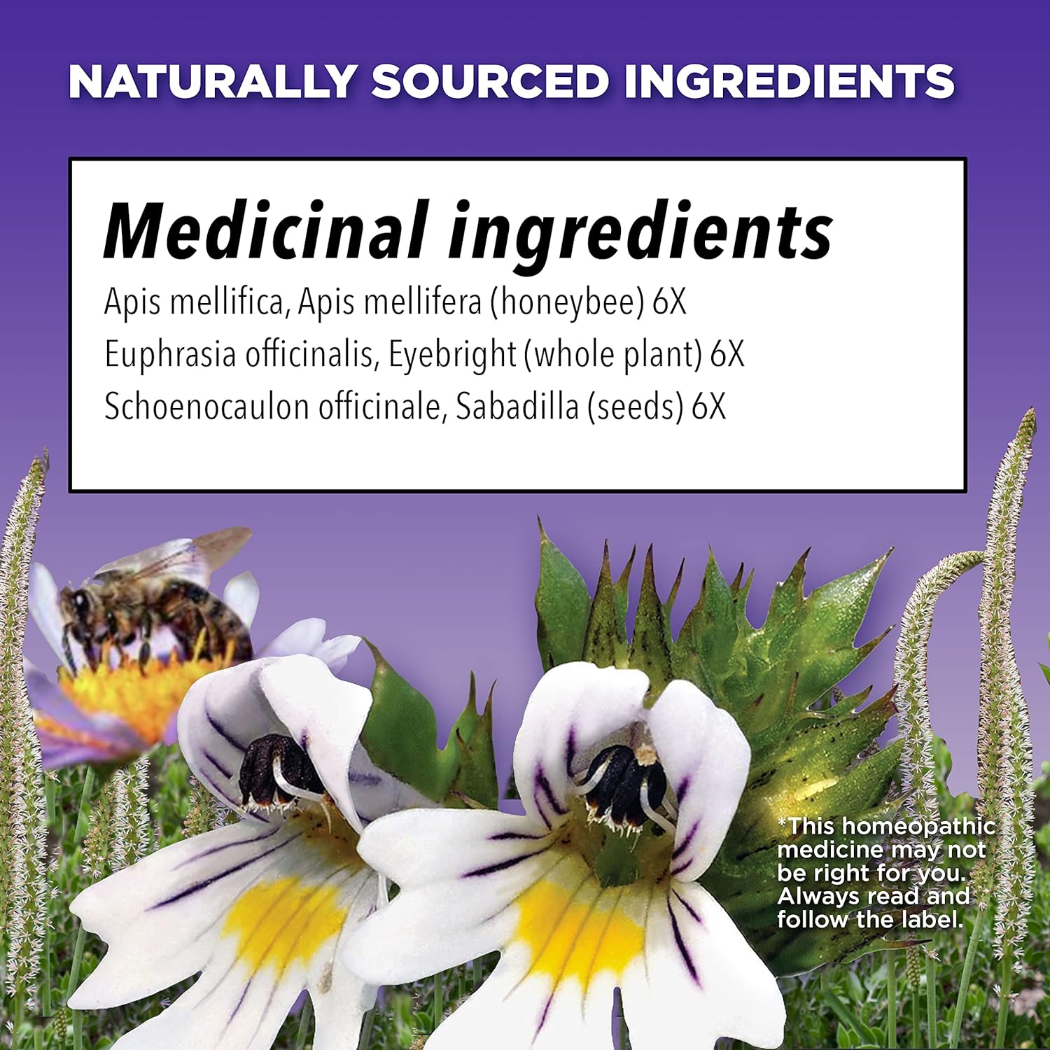 Similasan Allergy Eye Relief, Homeopathic Medicine, 10mL Bottle {Imported from Canada}