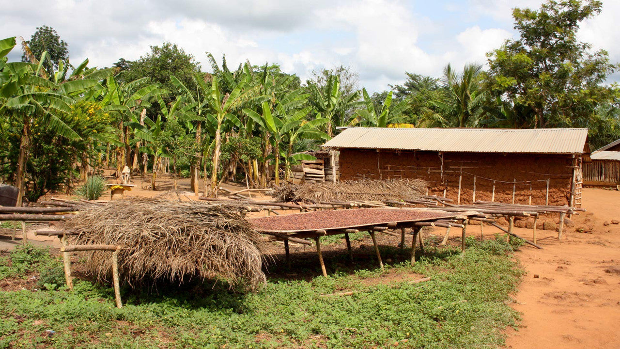 Caotina original 200g/7.1 oz., Cocoa Drink mix, {Imported from Canada}