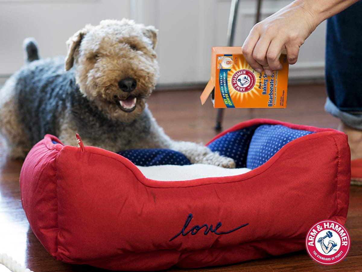 ARM & HAMMER Pure Baking Soda For Odor