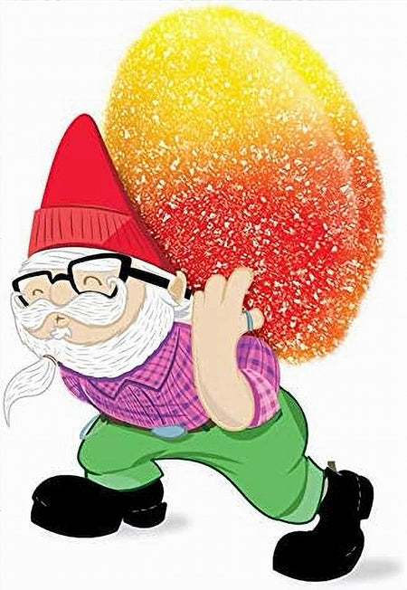 A gnome carrying a peach gummy candy on his back with a white background