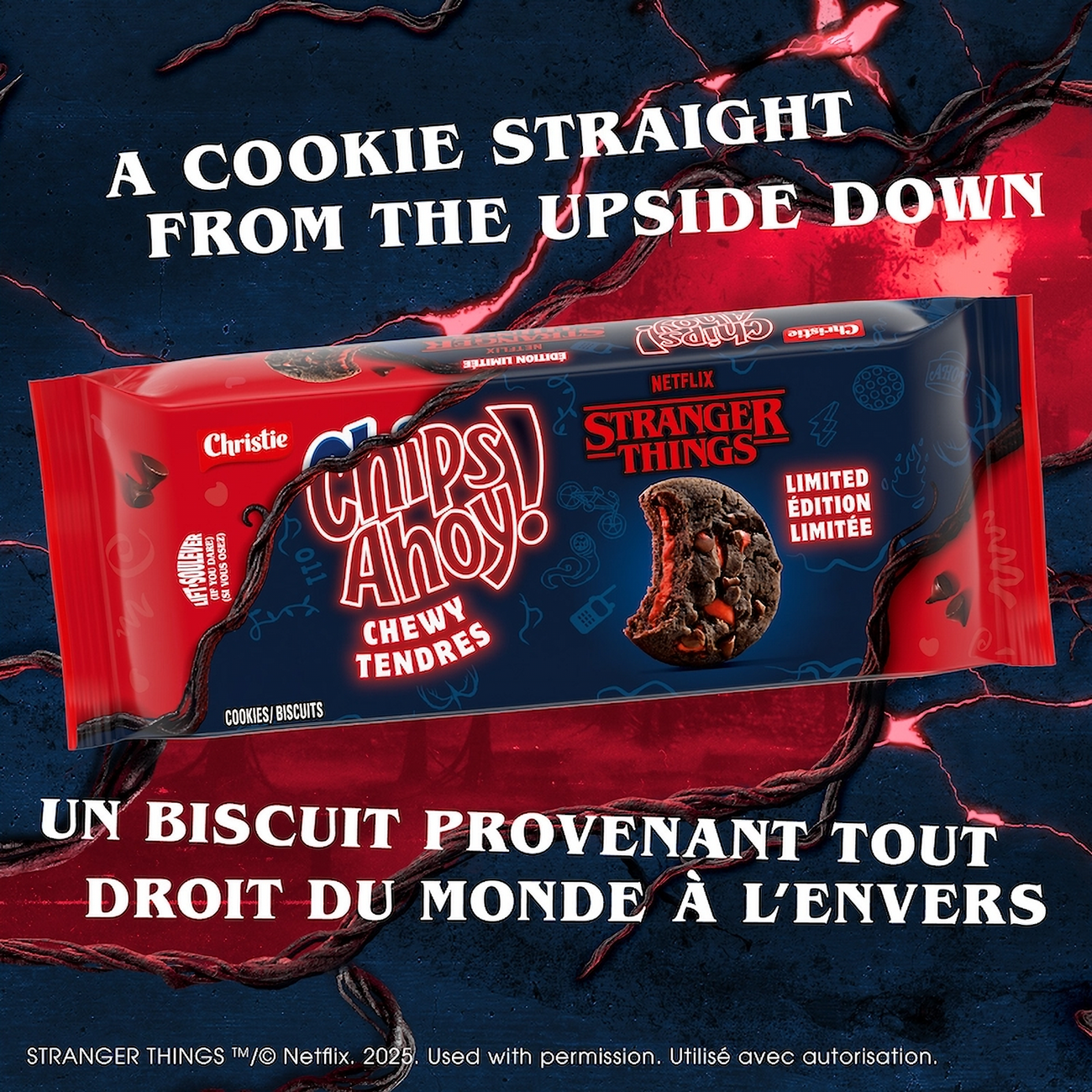 Stranger Things themed cookie package with text on a dark background