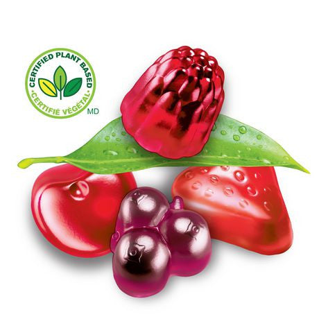 Dare Real Fruit Gummies, Fruit Medley, 180g (6.3oz) Plant Based