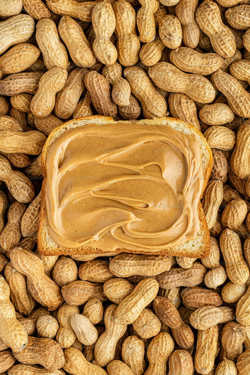 Close-up of a slice of bread with peanut butter surrounded by peanuts