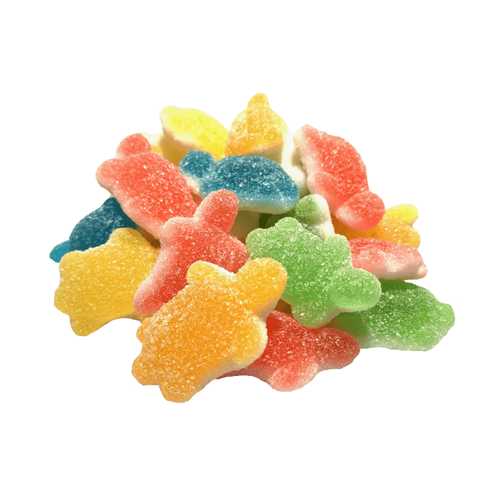 Huer Assorted Sour Turtles Gummies, 1kg/2.2 lb