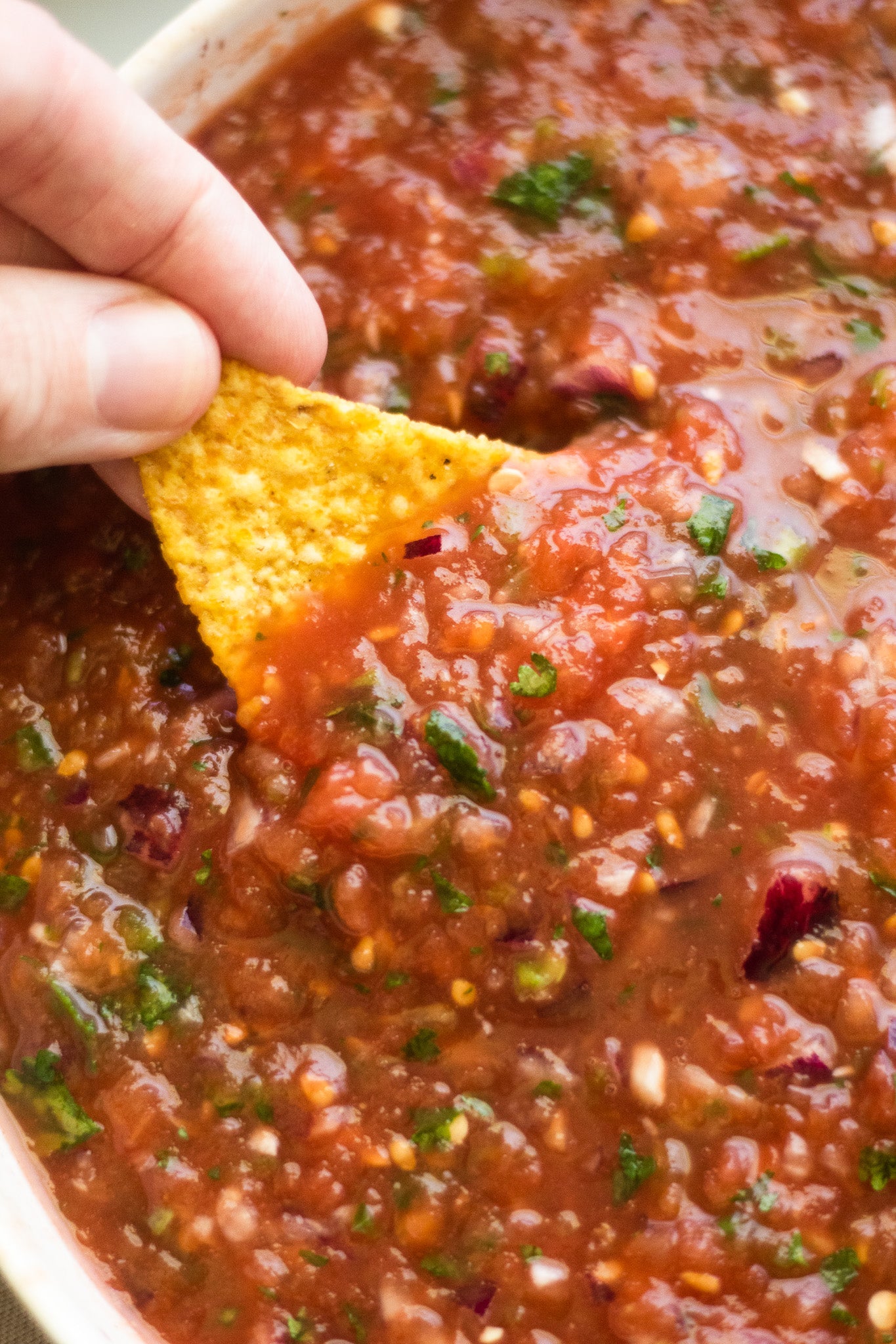 Chi-Chi's Hot Thick & Chunky Salsa, 454g, salsa in a bowl.