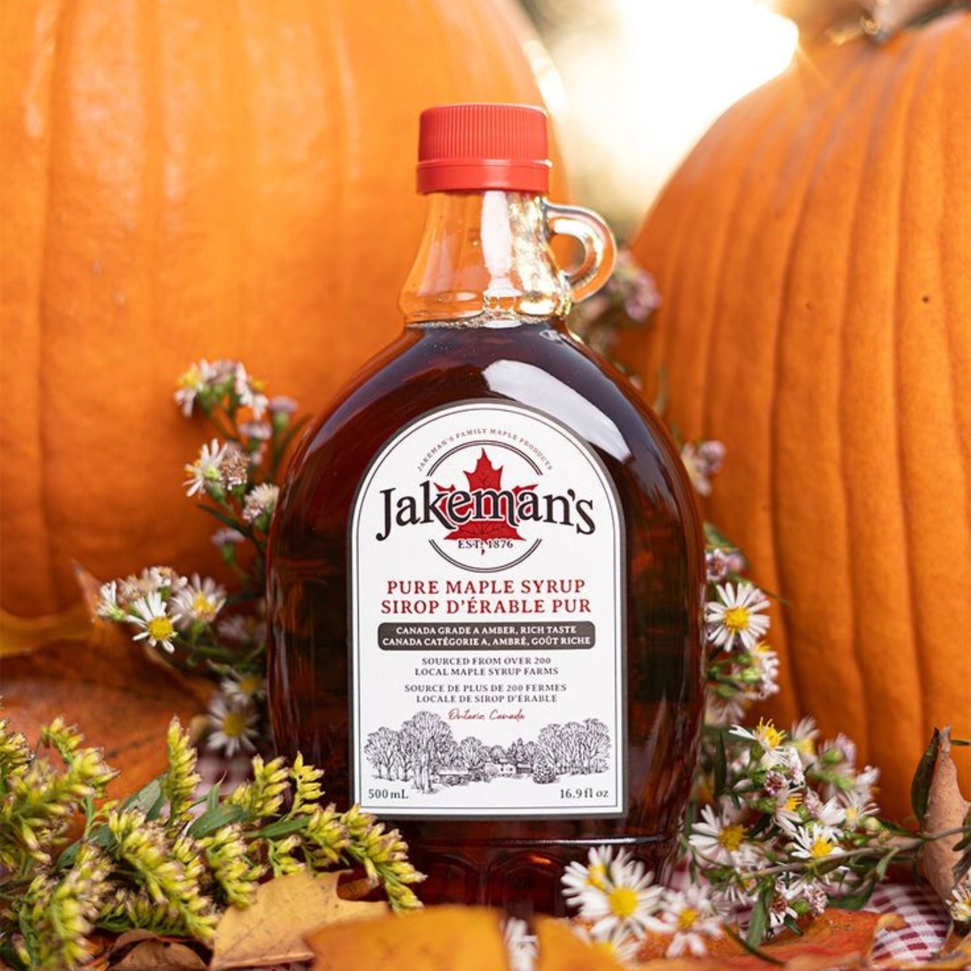 Maple syrup placed in front of two pumpkins surrounded by yellow and white flowers.