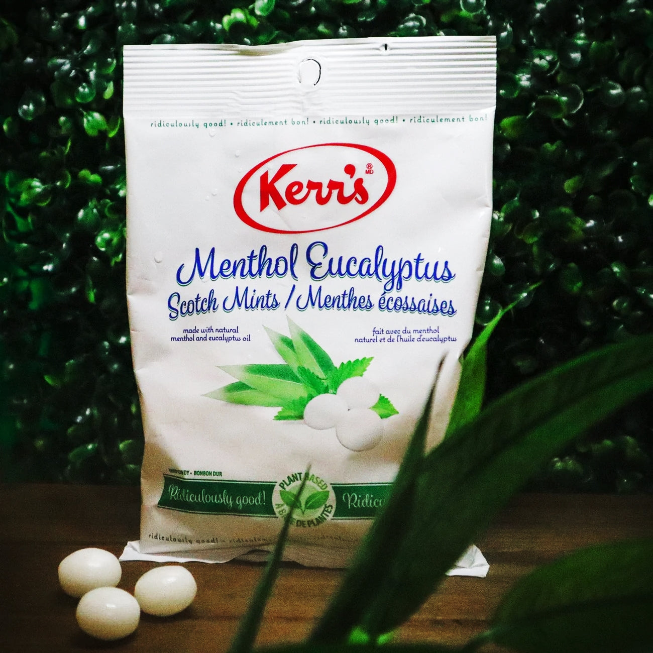 Kerr's Menthol Eucalyptus Scotch Mints, (12x150g),1.8kg, front of bag.