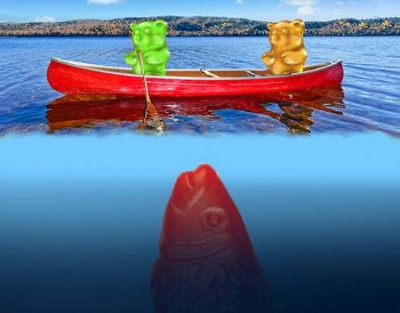 Maynard's Original Gummies - 18 Pack (60g / 2.1oz per pack) - Gummy Bears in a Row Boat