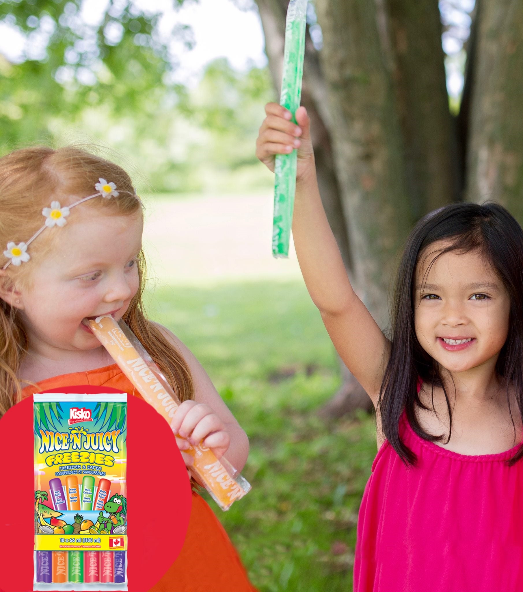 Kisko Nice 'N Juicy Freezies, 18 x 66ml, 1.19L/41 fl. oz. Total
