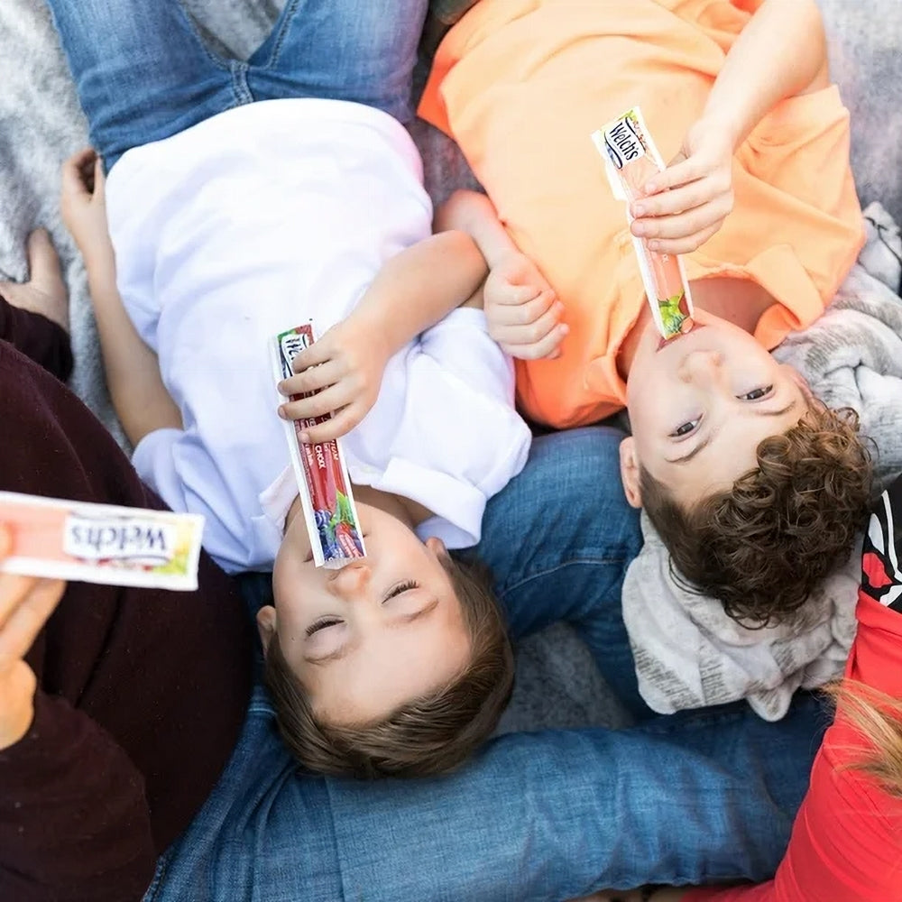 Welch's Premium Juice Ice Bars, picture
