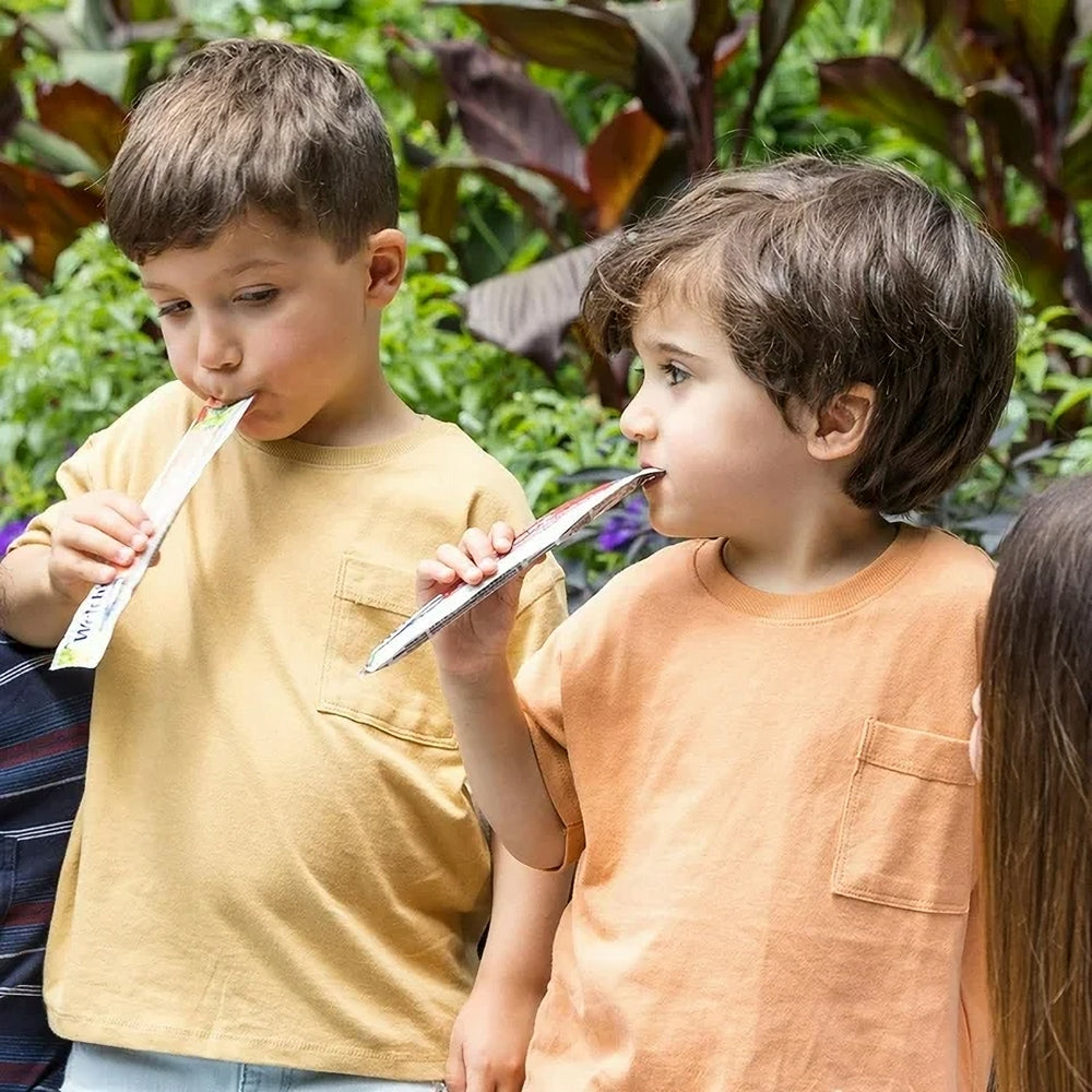 Welch's Premium Juice Ice Bars, picture