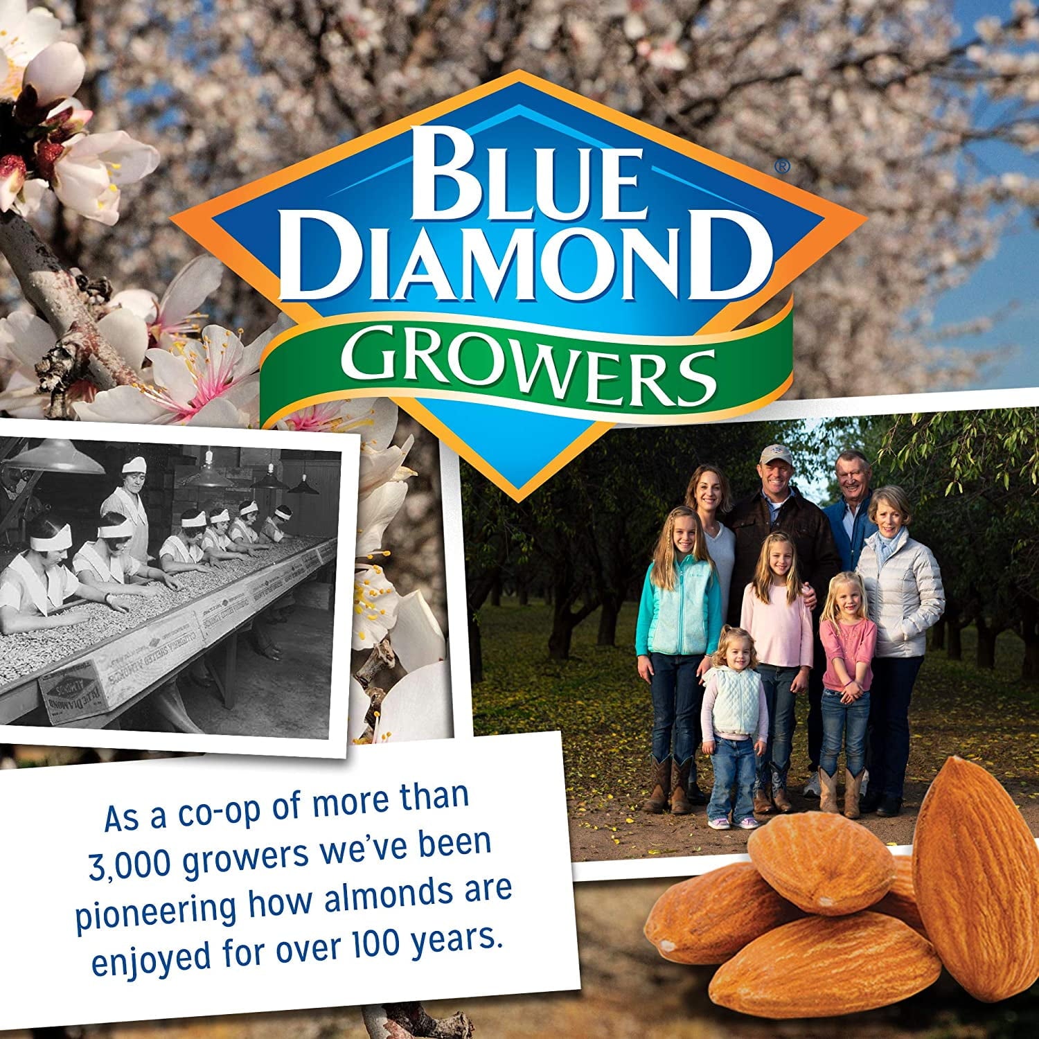 Blue Diamond Growers advertisement with almond orchard, family photo, and historical image.