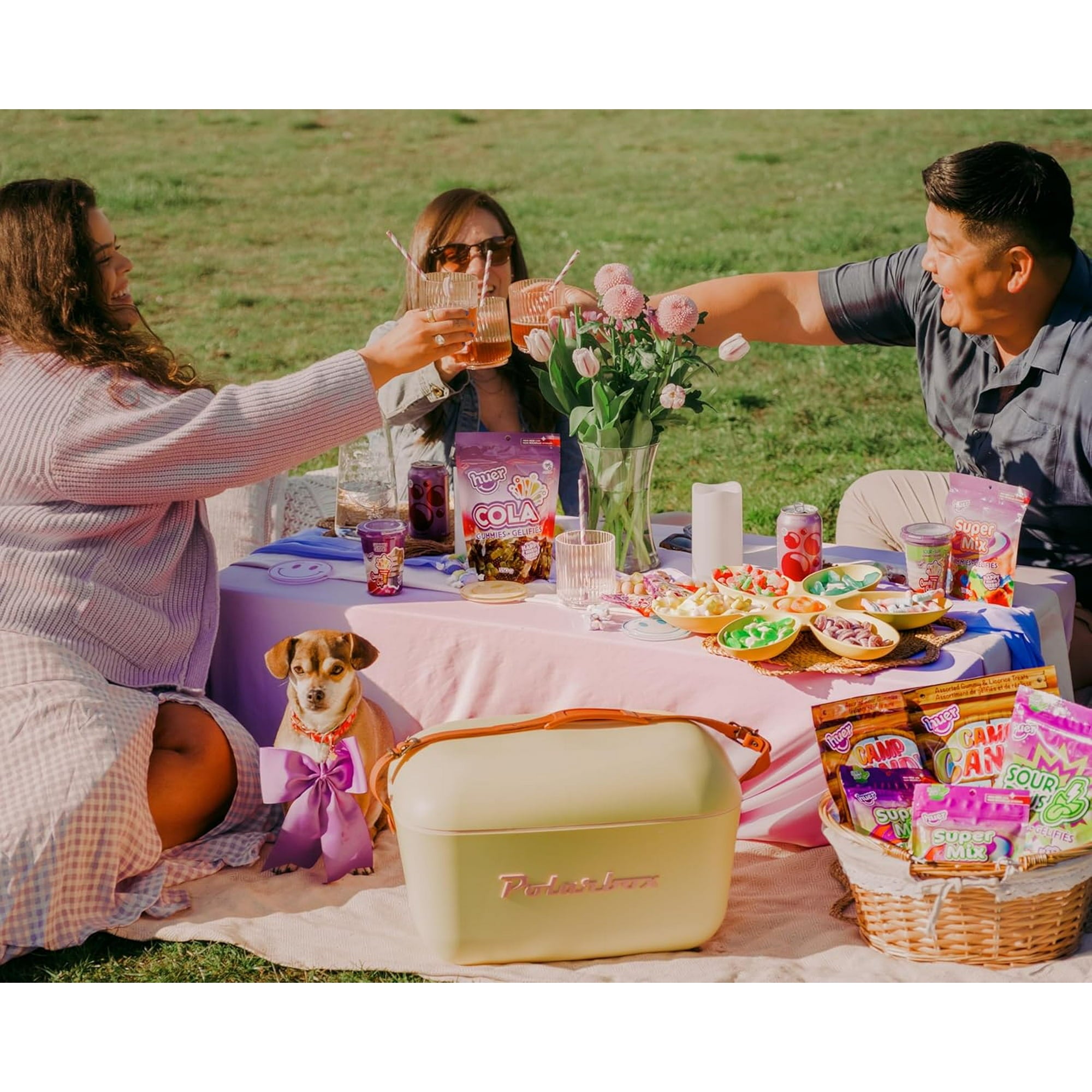 People enjoying a picnic with food, drinks, and a dog on a blanket outdoors.