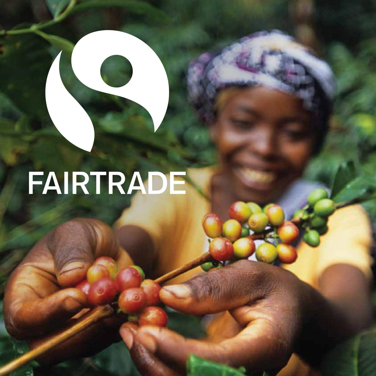 ETHICAL BEAN Superdark French Roast Coffee 132g/4.7 oz., 12ct {Imported from Canada}