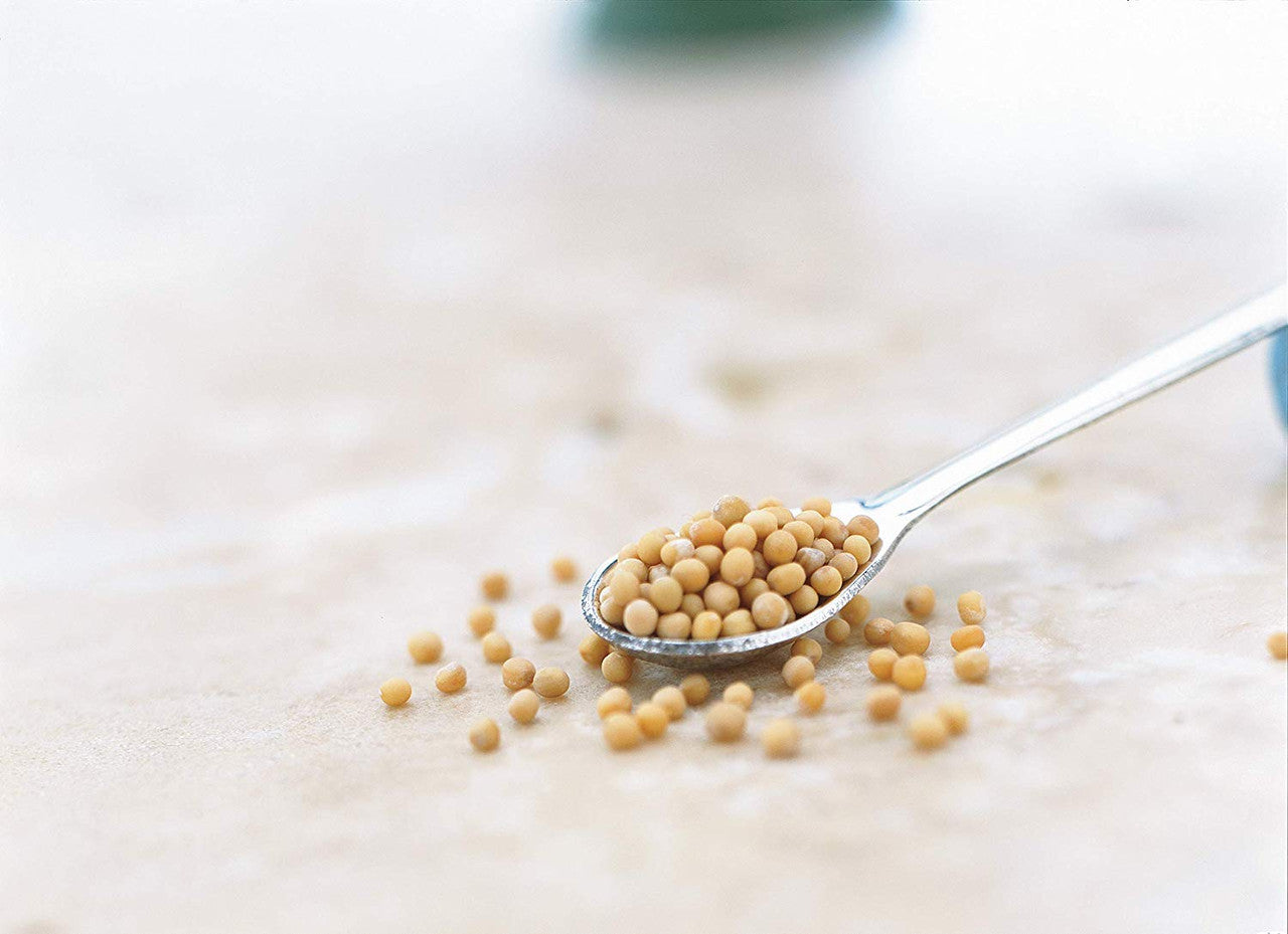 Keen's Prepared, Hot Mustard, 100ml/3.4 fl.oz., {Imported from Canada}