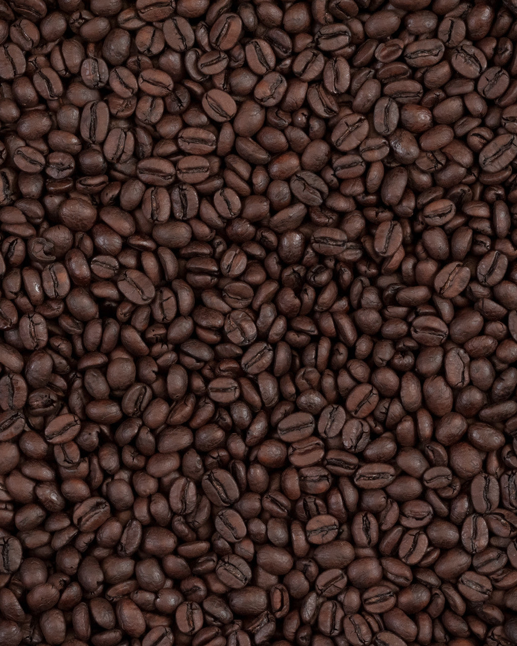 Van Houtte House Blend Coffee, 24 K-Cups, 1 Box {Imported from Canada}