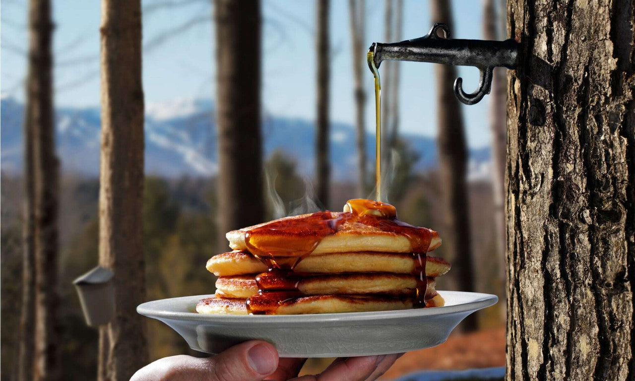 Camp 100% Maple Syrup, Canada Grade A Amber, 1 L/33.8 fl. oz. {Imported from Canadian}
