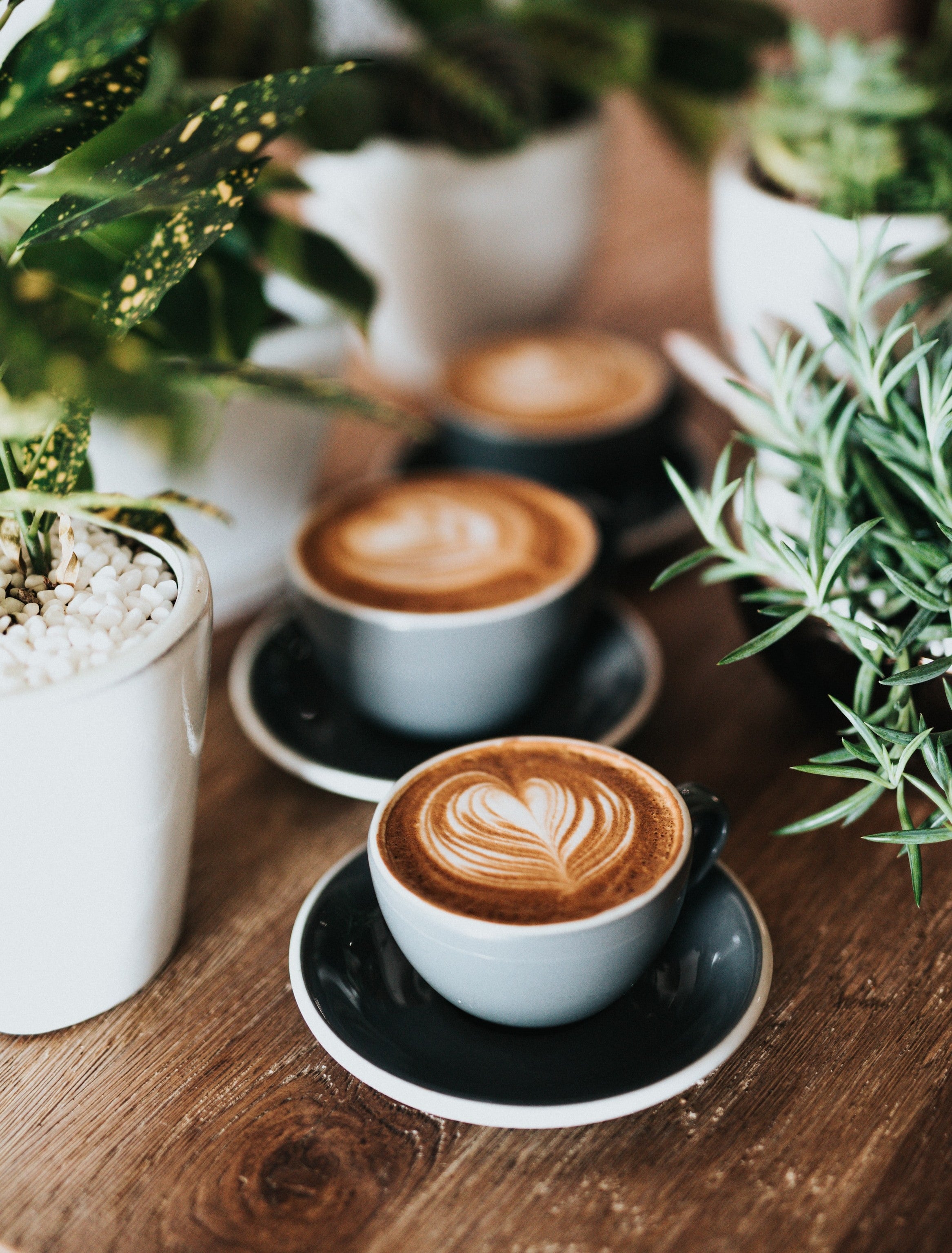 Tim Hortons 100% Colombian Instant Coffee (Intense Dark Roast) 100g/3.5oz., Jar, prepared cup of coffee.