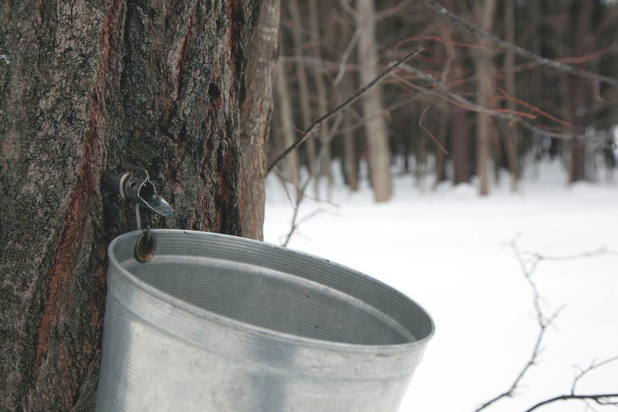 Camp 100% Maple Syrup, Canada Grade A Amber, 1 L/33.8 fl. oz. {Imported from Canadian}